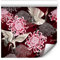 murando - Tapete selbstklebend 10m Wandtattoo dekorative Möbelfolie Dekorfolie Fotofolie Panel Wandaufkleber Wandposter Wandsticker - Vögel Natur Botanik Pflanzenmotiv f-B-10020-j-a