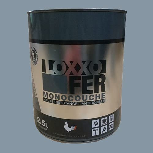 LOXXO Peinture Fer Antirouille Gris argent 2,5 L