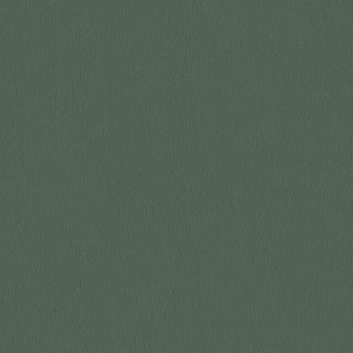 BRICOFLOR Papier peint couloir vert moderne Tapisserie verte kaki idéale salon & bureau Papier peint uni intissé pour chambre adulte
