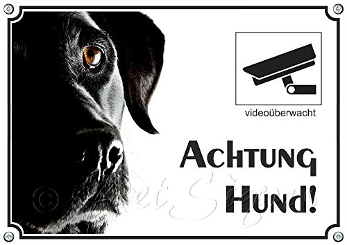 Hundeschild - Labrador Retriever mit Videoüberwachung - Exklusives Metallschild, DIN A4