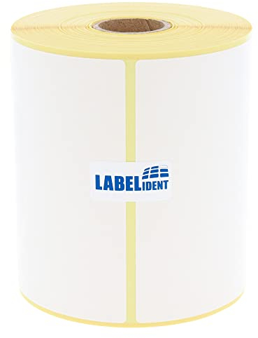Versandetiketten DHL, DPD, Fedex, GLS, Hermes, UPS - 100 x 200 mm - 250 Thermo-Eco Papier Etiketten auf 1 Rolle(n) mit 25 mm Kern, Thermodirekt Etiketten selbstklebend, Trägerperfo.