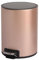 Poubelle De Cuisine, Poubelle, Poubelle À Pédale en Acier, avec Seau Intérieur, Fermeture Douce Et Maintien en Ouverture(Champagne Gold,6L)