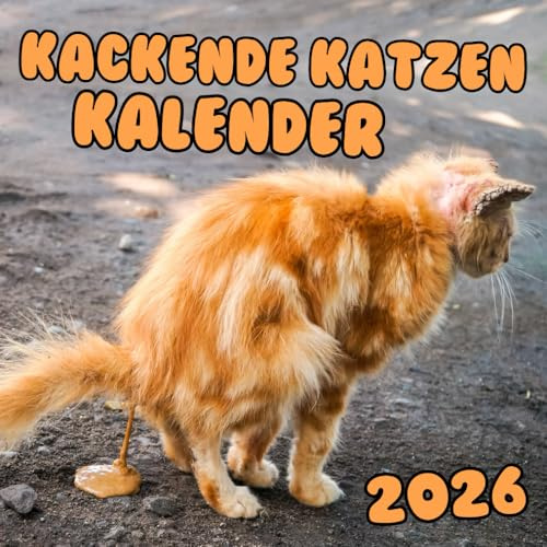 Kackende Katzen Kalender 2026: Geschenkideen für Katzenliebhaber in der Silvesternacht: lustige Bilder und witzige Zitate.