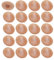 cyclingcolors 20x Abdeckkappen Schrauben Kunststoff 11.5mm Kreuzschlitz pz2 Holz schraubenkappen, Buche braun