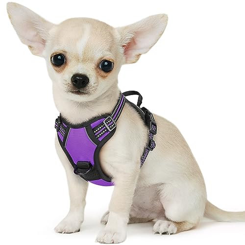 Eagloo Hundegeschirr Kleine Hunde, Anti Zug Hundegeschirr mit Reflexstreifen und Kontrolle, Verstellbar, Einstellbar und Langlebige Brustgeschirr Hund, Geeignet zum Gehen und Joggen, Lila, XS