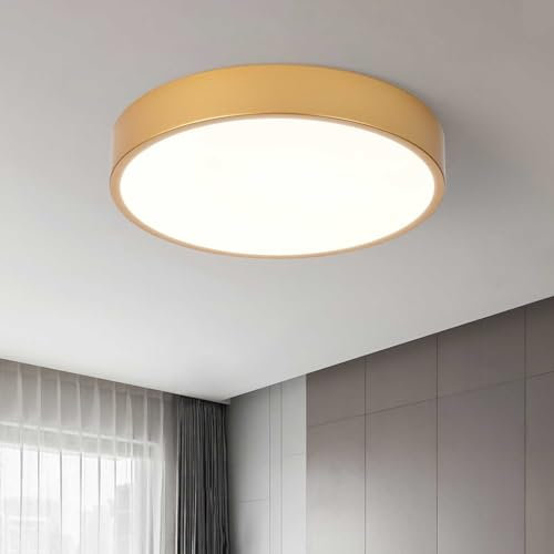 Schindora Gold LED Deckenleuchte,Ø30cm Metall 24W Küche Deckenlampe LED 3 Farbwahlcode LED Lampe 3000k/4500k/6000k Runden Wohnzimmerlampe Für Büro Schlafzimmer