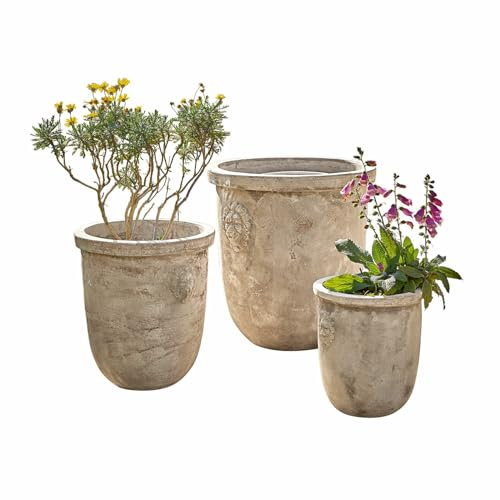 Loberon Autigny Lot de 3 cache-pots, trois tailles, faits à la main, avec emblème tête de lion classique, style méditerranéen, accessoires de jardin, argile, beige antique