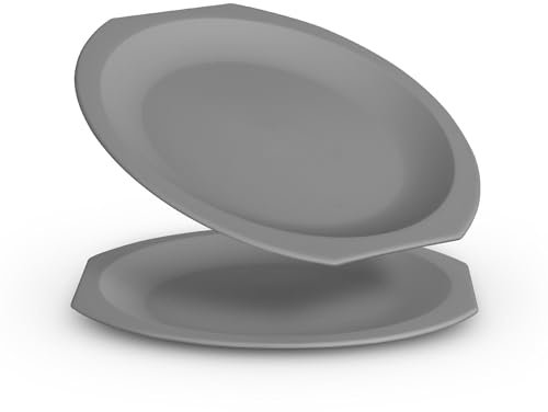Pro Home Lot de 2 assiettes en plastique polypropylène incassables - Sans BPA - Passe au lave-vaisselle (diamètre : 23 cm - Gris) - Pour fête, camping, pique-nique