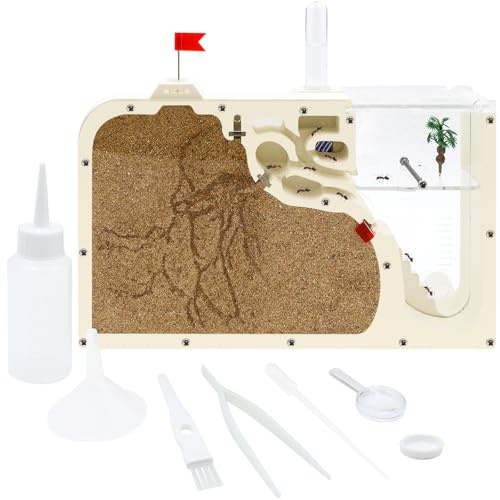 Ant Farm Castle - Ant Farms for Kids with Yellow Sand Complete Tool Kit, Live Ants Habitat Science Kit - Great Gift for Boys, Girls and Student