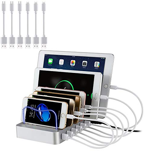 PRITEK 6-Port USB Charger Station with 6 Short USB Cables - Multi Device Desktop Charger for Cellphone, Tablet, Earphones, MP3, MP4 & More (Silver)