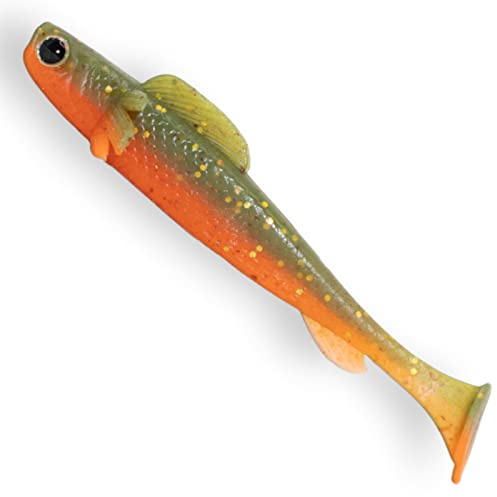 Lurejunks Finisher Shad - 5 Gummifische - Angelköder für Hecht, Zander & Barsch, Gummiköder, Länge:8cm, Farbe:Green Tomato