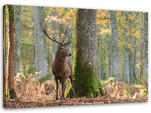 Feeby Bilder Hirsch Wald XXL 120x80 cm 1 Teilig Wohnzimmer Schlafzimmer Modern Wandbilder Leinwandbilder Bild auf Leinwand Kunstdruck Wanddeko Design Natur Baum Landschaft Braun