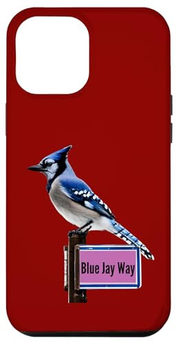 iPhone 13 Pro Max Blue Jay Way Case