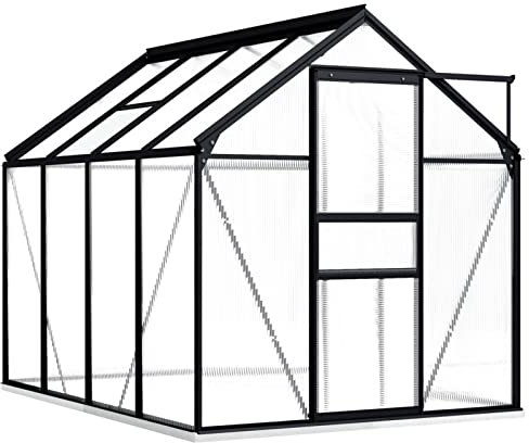 Begehbares Gewächshaus aus Polycarbonat mit Aluminiumrahmen und Fundament für den Garten, 190 x 250 x 202 cm, 4,75 m²