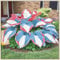 Hosta zwiebeln Winterhart Mehrjährig Funkien Pflanze Winterhart Hosta Pflanze Gartenblumen-4zwiebeln-d