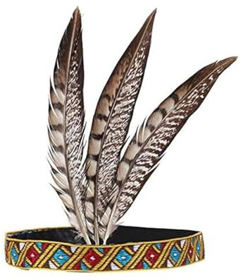 HUITINGJIANYYDS Indian Headdress Headdress Feather Feather Headband Hair Band Headpiece Flapper Unisex Adult Hair Decoration for Birthday Parties, Dances,Festivals,Banquets
