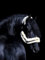 Tysons Breeches Danilo Lederhalfter Lammfell abnehmbar + Leder Patches Pony VB WB Leder Halfter ergonomisch (Vollblut)