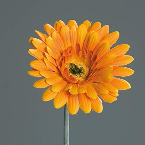 mucplants Künstliche Gerbera 56cm Seidenblumen Kunstblumen künstliche Blumen (Orange)