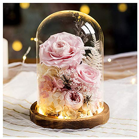 XUMI Rose Eternelle sous Cloche, La Belle Et La Bête Enchanted Rose Élégant Dôme en Verre avec des Lumières LED Cadeau pour Anniversaire, Anniversaire, Saint Valentin, Noël, Thanksgiving,Rose