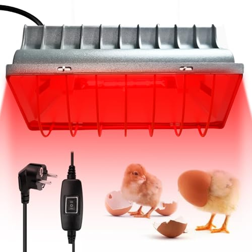 WIYETY Rotlichtlampe Wärmelampe für Küken: 175W Dimmbare Heizlampe Hühnerstall, Wärmelampe Küken mit Sparschalter, Geflügel Coop Heizung, für Küken, Ferkel, Welpen, Enten
