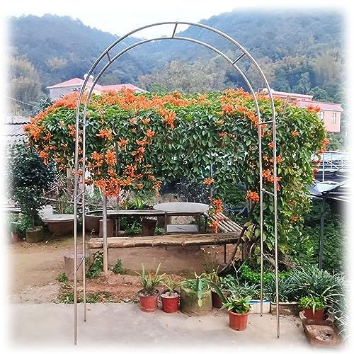 Rankgitter aus Edelstahl, wetterfest, Metallstruktur für Rosen und Kletterpflanzen, große Größe, 320 x 240 cm, elegante Gartendekoration