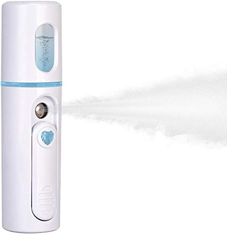IXROAD Gesichtsspray Luftbefeuchter Gesichtsdampfer mit Nano Nebel für Hautpflege Feuchtigkeitsspendend (Weiß)