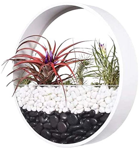 Ecosides Macetas Colgantes Pared Modernas,Ronda Metal Maceta para Flores con Soporte Extraíble para Sala de Estar,Balcón,Jardín Montaje de Pared Macetero Plantador con Orificio de Drenaje