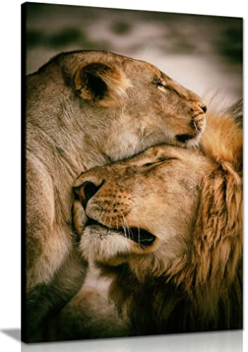 Panther Print Fine Art Prints Lion & Lioness Affection Wildlife Artistic Framed Canvas Print, Pictures for Home Walls, Bedroom, Living Room & Bathroom Decor 91x61cm (36x24in)