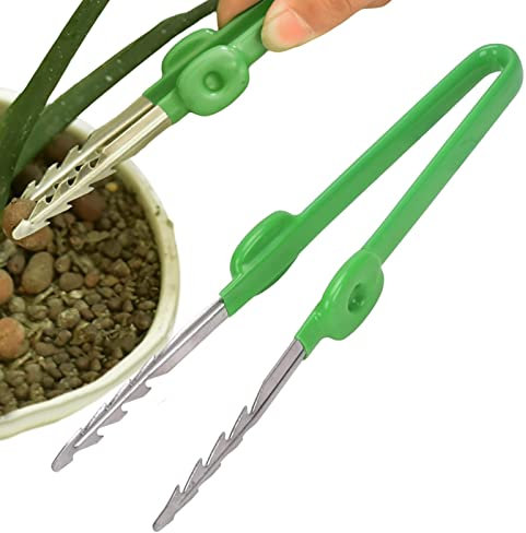 Pinzas para suculentas, pinzas de jardinería de acero inoxidable, alicates multifuncionales para vestir el pulgar, pinzas de precisión rectas y curvas, pinzas de precisión para jardín, coc, cactus