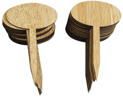 Eleutheromania 10 pezzi di cartellini in bambù per piante da etichettare, cartellini in legno per etichettare piante da giardino e ornamentali (B)