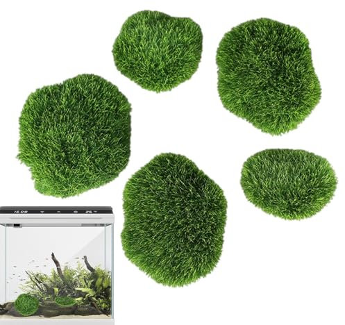 Genérico Moss Balls for Aquarium - Vive Moss Balls, Natural Moss Balls for Fish Tank | Planta acuática de Agua Dulce, Musgo ecológico para acuarios, Planta de Acuario de bajo Mantenimiento