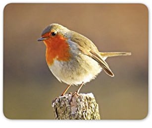 Destination Vinyl Ltd Cute Robin Redbreast Bird Mouse Mat Pad - British UK Birds Computer #8701