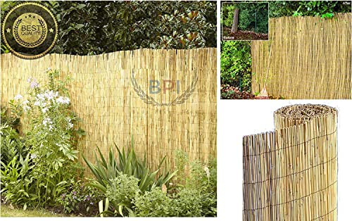 BPIL Garden Natural Peeled Reed Screening Roll Fence (H: 1.8M x L: 4M) – Eco-Friendly, Durable Privacy Screen for Garden, Patio & Backyard, Easy Installation, Multipurpose Fencing Roll