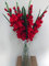 6 x Artificial Gladioli Flower Stems - 75cm Long (Red)
