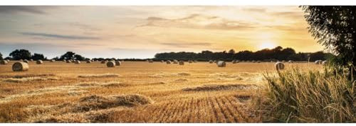 Ceanothe Tableau sur toile campagne 30x97 cm Décoration Murale Art Décoratif Muraux Peinture Imprimée en HD Salon Chambre Bureau Bois de Forêt FSC Fabriqué en France