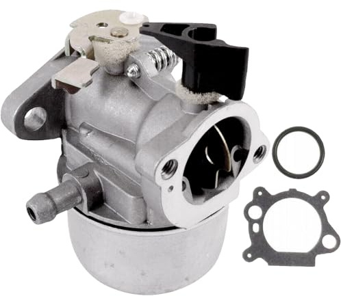 Vergaser für Briggs & Stratton 494216/494217 / 498965/698056, MTD 2069029, Wolf 2069029，122H00, 127700, 127800, 128700, 128800, 12F700, 12F800, 12H700, Motoren Rasenmäher Dichtung Zubehör，