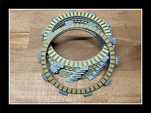 TERAM LOISIRS Kit frizione a 9 dischi imbottiti compatibile per Honda CB 600 Hornet 600 dal 1998 al 2006