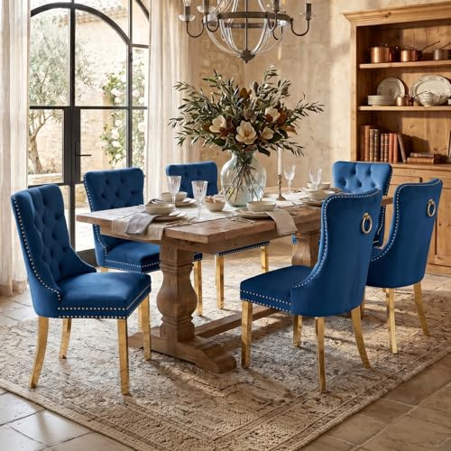 Esszimmerstühle mit gepolstertem Flügelrücken, blau und gold, 6er Set | Weicher Samtbezug, Tufting, Nietenbesatz, Rückenring, goldene Metallbeine. Ideal für Esszimmer, Wohnzimmer, Innendekoration.