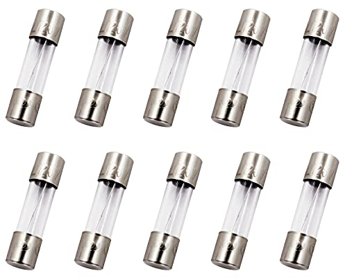 COOLOOdirect 10 Stück F10AL Flachsicherung 10 A 10 A 125 V Glassicherungen 5 x 20 mm (125 Volt F10A)
