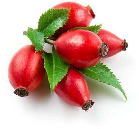 10 Semi di Rosa Canina - ROSA CANINA