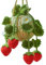 Crochet Hanging Plant for Car Cute Strawberry Car Hanging Accessories 5.5x3.2 Inch Car Decor Accessories Portable Car Mirror Decor Hanging for Drivers