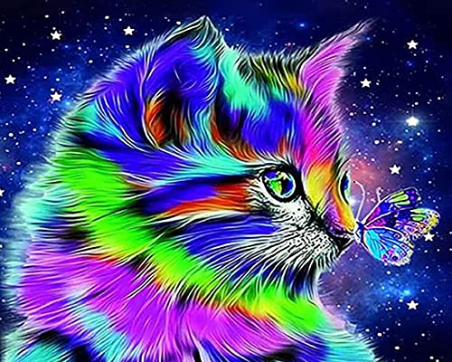 KAMACA 5D Diamond Painting Set für Erwachsene und Kinder Größe ca 40x50 cm Diamond Painting Kit komplett mit allem Zubehör zum sofort Loslegen (Katze)