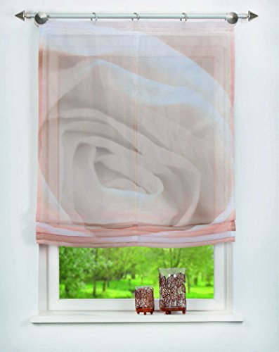 Digital bedrucktes Raffrollo Rosario Sand | transparent | Raffgardine mit Motiv: Rose/Blüte (BxH 80 x 140cm)