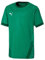 PUMA Unisex Kinder, teamGOAL 23 Jersey jr Trikot, Pepper Green-Power Green, 152