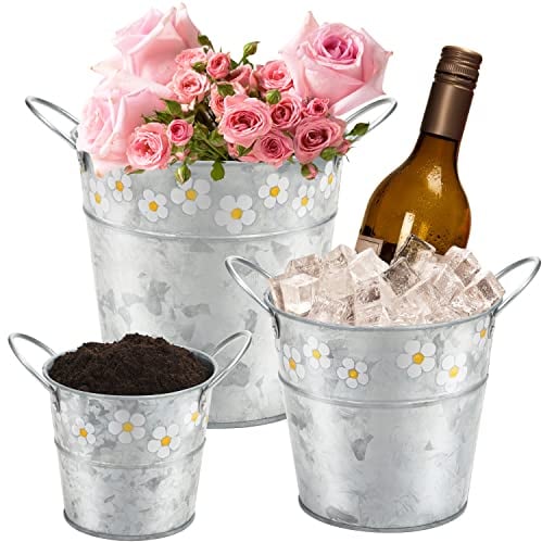 Belle Vous 3 STK Silber Farbener Kleiner Eimer 3 Größen Verzinkter Eisen Mini Eimer mit Blumenmuster & Griff - Innen/Außenaufbewahrung für Haus & Garten für Asche, Reinigungsmittel & Blumen Übertopf