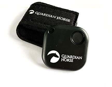 GUARDIAN HORSE Unfall Tracker