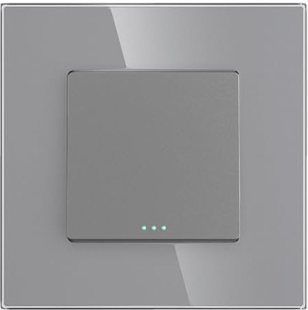 PULSAR Unterputz Lichtschalter Grau Glas 1-Fach, Schalter mit Glasrahmen 10A 250V, Wandschalter Ein-Ausschalter Einzeln