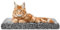 Katzen Fensterliege Fensterbank rutschfest - Katzenbett Fensterbank 60x25 cm - Weich & Kuschelig - Fensterliege für Katzen Selbstheizende Katzendecke - Waschbarer Bezug (Schwarz)