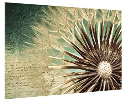 micasia Glas Spritzschutz inkl. Aufhängung 4 mm starke Küchenrückwand Blumen Glasrückwand - Made in Germany - Modern Pusteblume Wandpaneel Küche Herd Küchenspiegel 2622 (60x40cm)