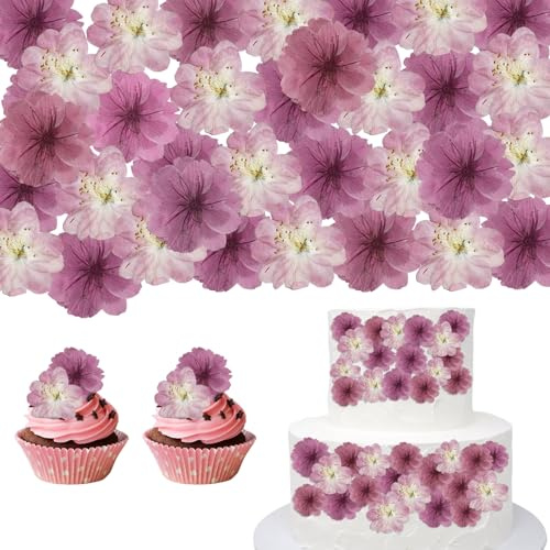 CENCERY 48 Pièces Fleurs Séchées Naturelles, pour Décoration de Gâteaux, Toppers pour Cupcakes et Garniture de Cocktails (Sakura Fleurs de Cerisier)
